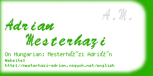 adrian mesterhazi business card